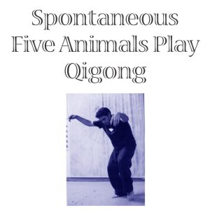 Spontaneous Five Animals Play Qigong Online Tuition