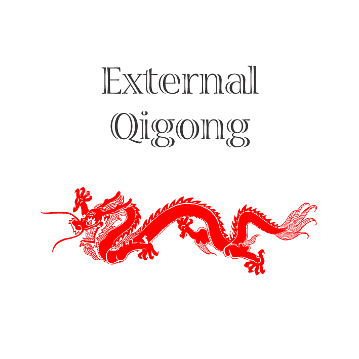 External Qigong Online Tuition