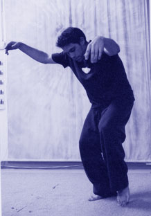 5 animals play qigong a person imitating flying crane