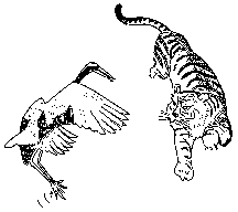 tiger & crane a drawing of a tiger & crane
